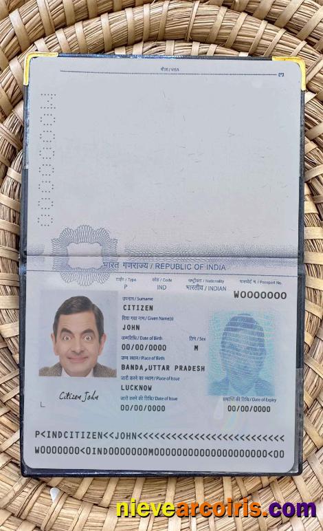 India pass 2020-present photolook